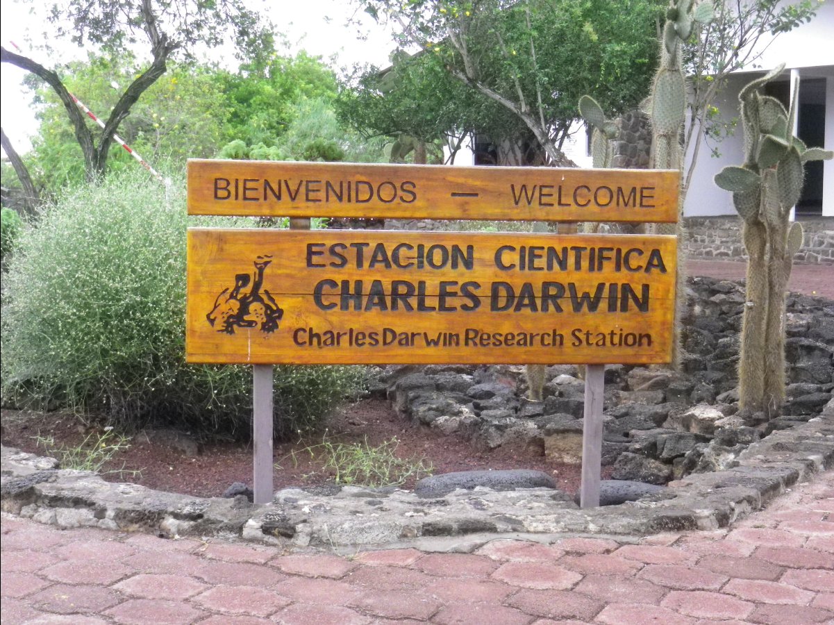Charles Darwin Centre07